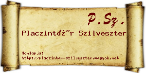 Placzintár Szilveszter névjegykártya